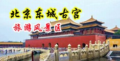 鸡鸡插bb黄色免费中国北京-东城古宫旅游风景区